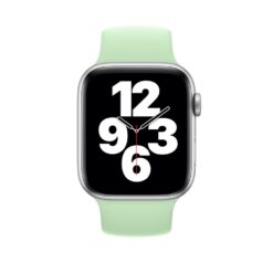 Lacné Kryty | Remienok Elastripe Wristband mätový pre Apple Watch | Lacné Kryty