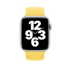 Lacné Kryty | Remienok Elastripe Wristband žltý pre Apple Watch | Lacné Kryty